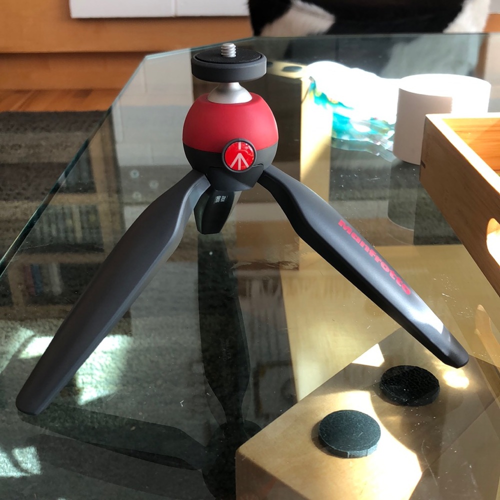 Camera tripod can hold up to 10 pounds